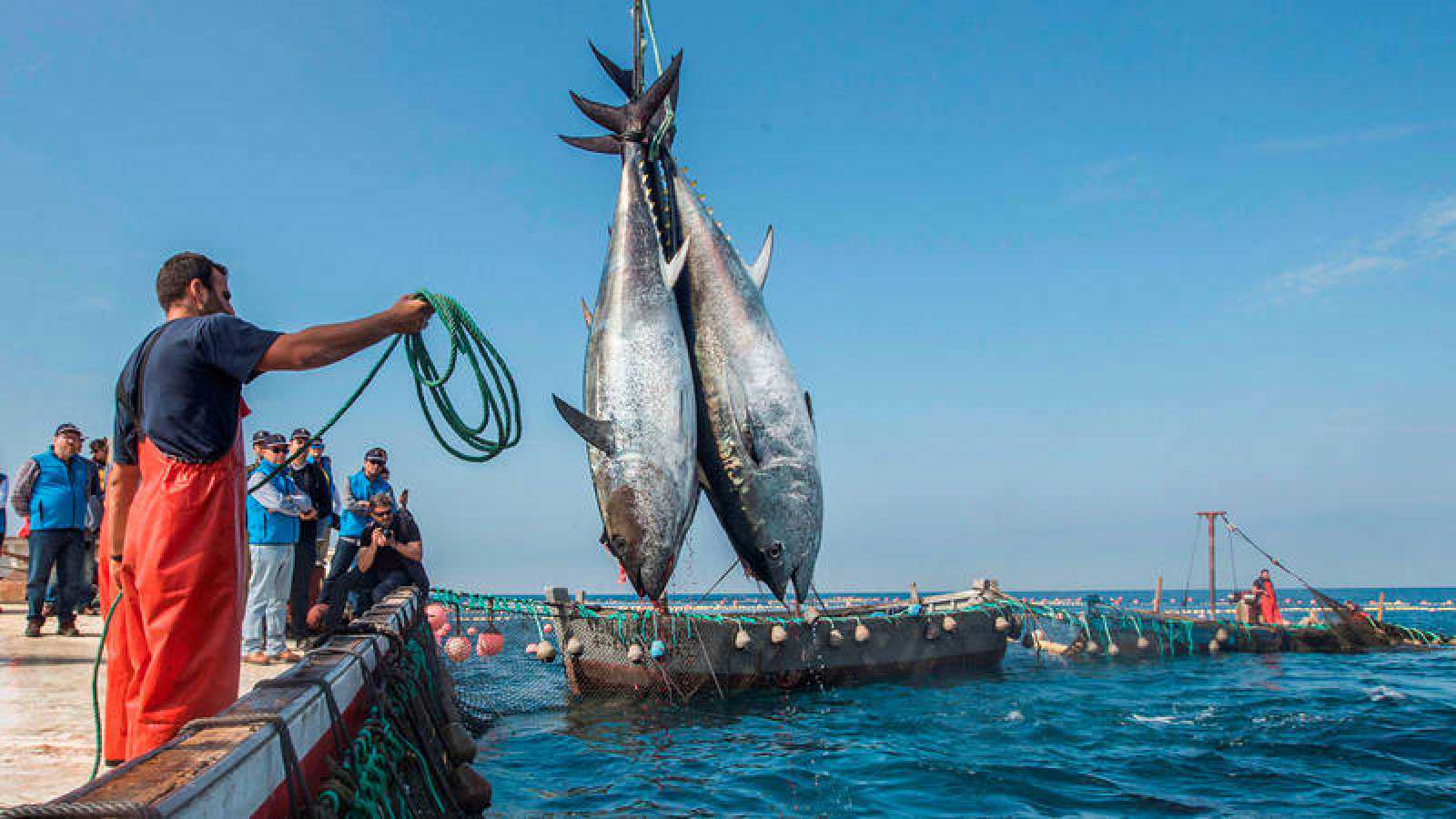 مستقبل اتفاقية الصيد البحري مع أوروبا المغرب حدد 3 معايير للتجديد